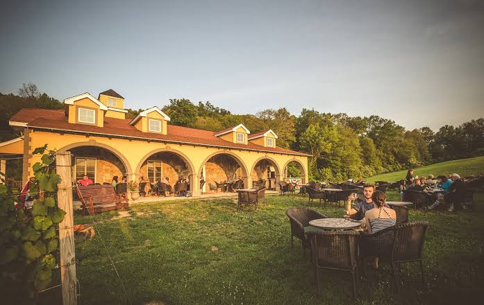 Paradise Hills Vineyard